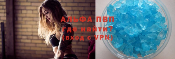 ПСИЛОЦИБИНОВЫЕ ГРИБЫ Гусев