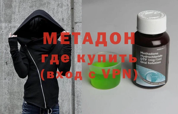 гидра Елизово