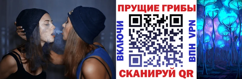 Галлюциногенные грибы Psilocybe  Гусь-Хрустальный 